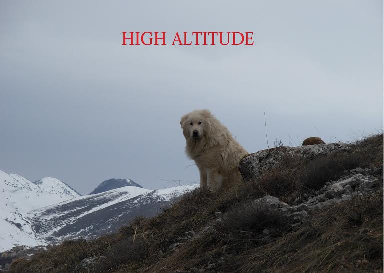 High Altitude